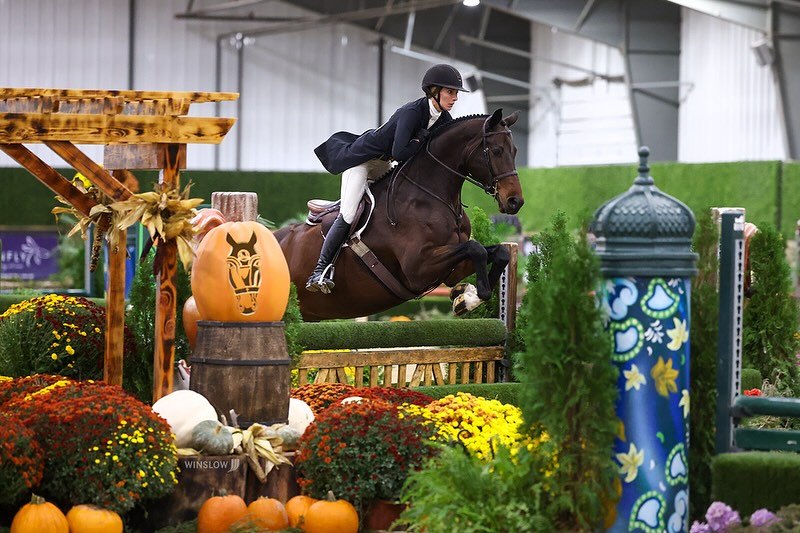 Hunter round through an autumn course