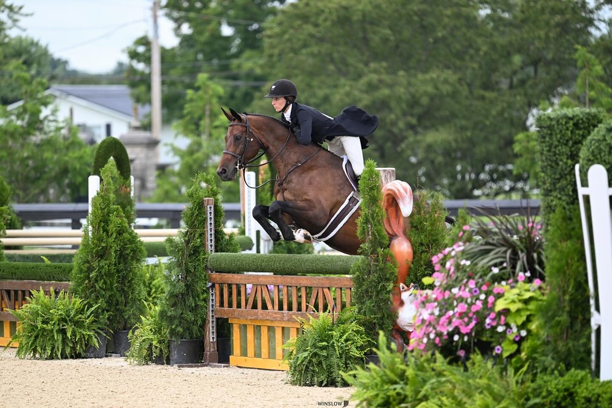 Outdoor hunter derby fence in summer
